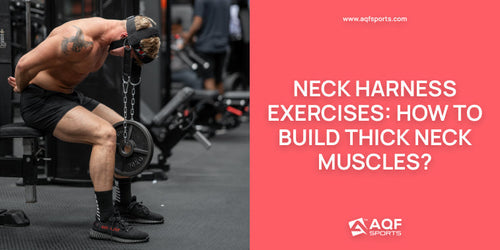 Neck Harness Exercises: How to Build Thick Neck Muscles?