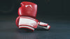 Essentials Benefits of AQF Boxing Training Gloves